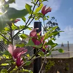 O Lar Do Magnolio Сasa de vacaciones *